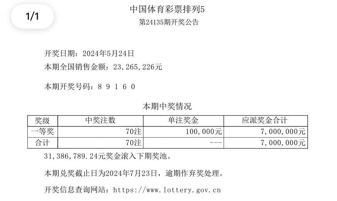 澳门彩票开奖结果查询系统，巩固释义解释落实的重要性与策略