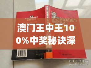 新澳门王中王正版杯盘释义解释落实深度解析