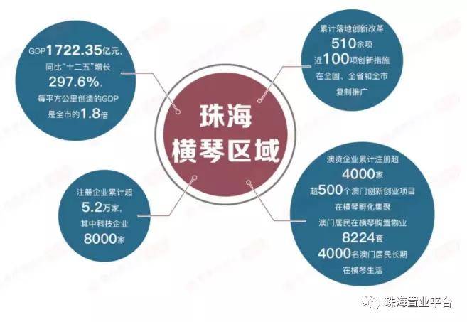 探索新澳资料大全免费之路，损益释义与落实策略