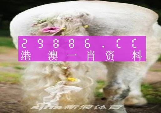 信息咨询服务 第64页