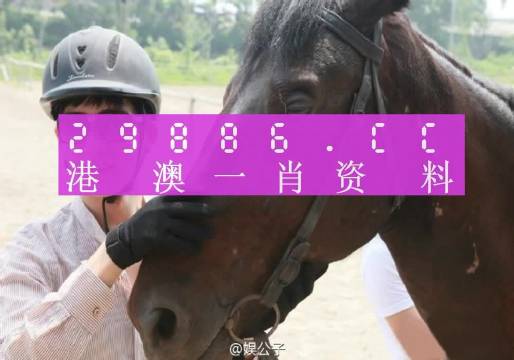 澳门最准一肖一码，限时释义、解释与落实