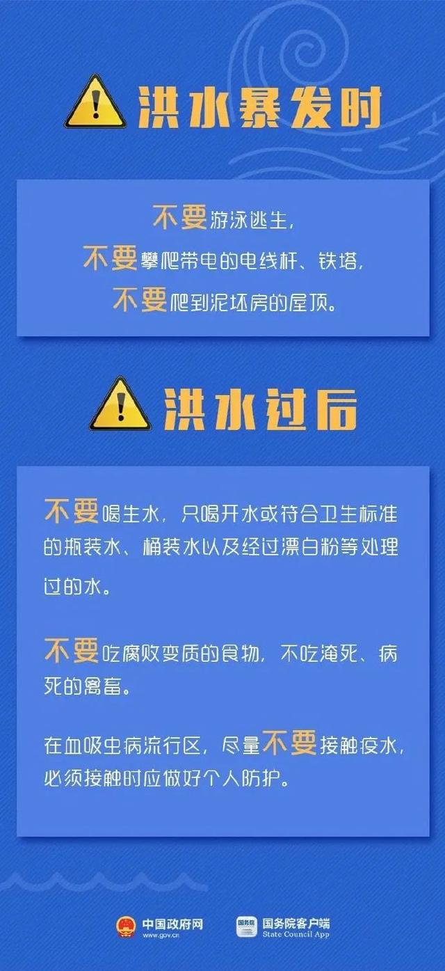 新澳2024今晚开奖资料四不像，全面解析与完备释义解释落实