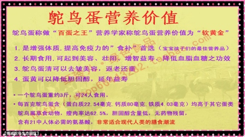 澳门特马今晚开奖背后的产权释义与落实解析