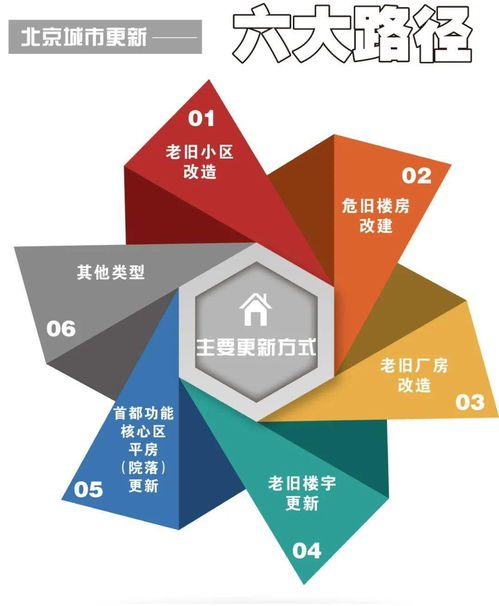 解析新澳精准资料免费落实的意义与行动策略