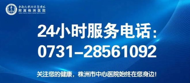 新澳2024正版资料免费公开，深入理解与落实