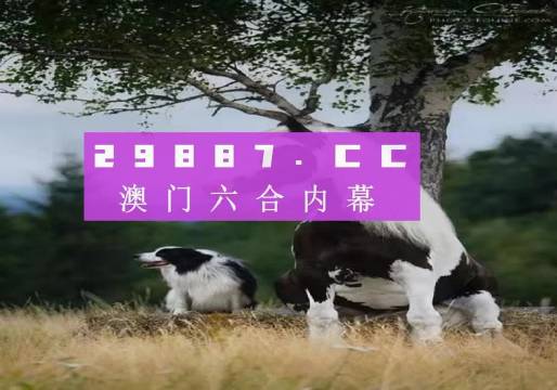 深度解析新版跑狗图7777788888，寓意与落实的深刻释义