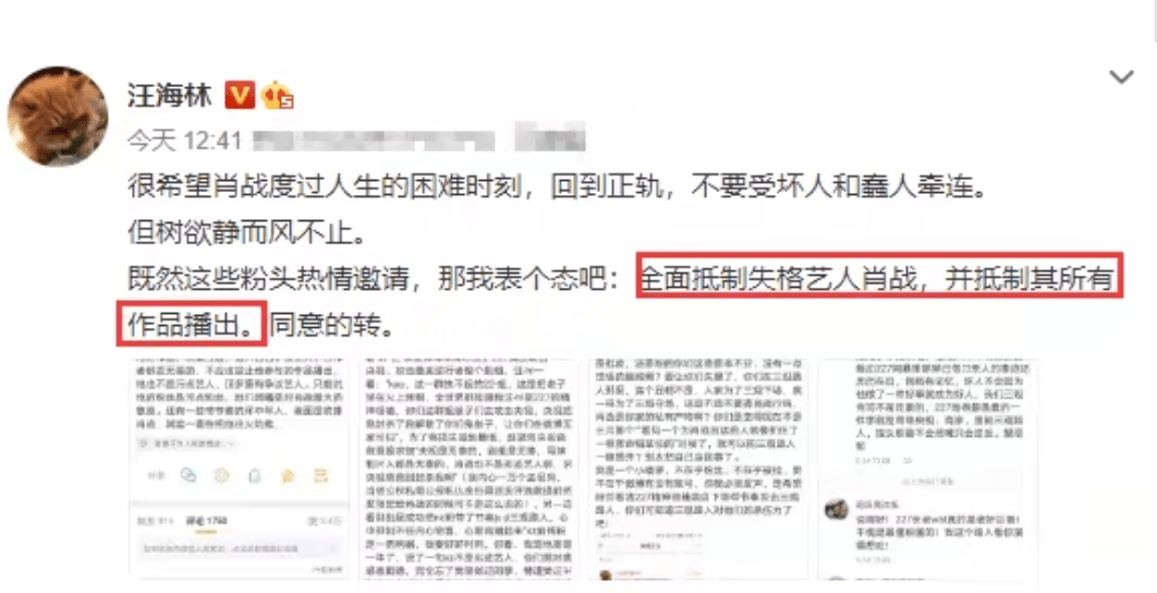 精准一肖，评价与释义的落实——免费预测背后的真相探寻