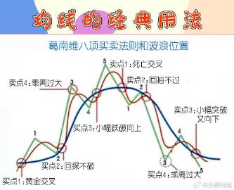 精准跑狗图与线自释义，深度解析与实际应用