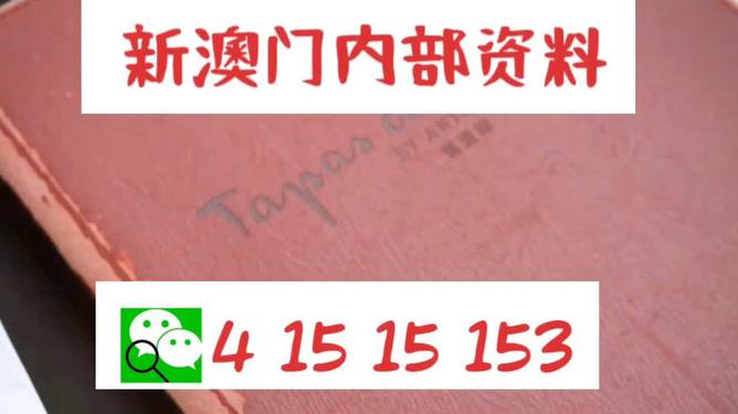 新澳门精准资料大全管家，框架释义、解释与落实