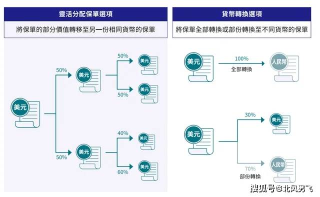 揭秘2024年香港开奖记录，了解、释义与落实