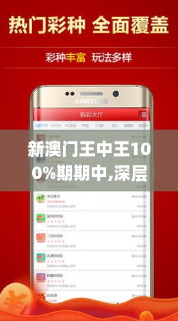 新澳门王中王100%期期中，深奥释义、解释与落实