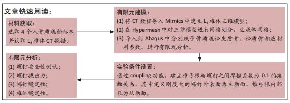 探索力学奥秘，解读力学释义与落实策略