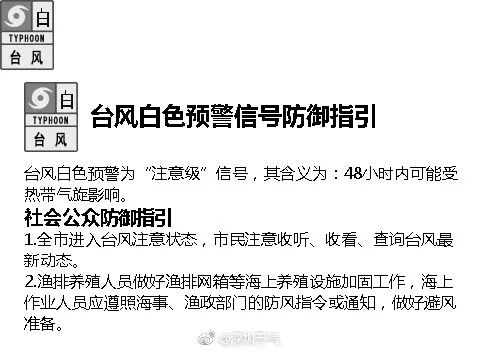 澳门特马今晚开码，优秀释义、解释与落实的重要性