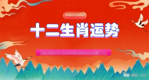 精准一肖一码一子一中，力行释义、解释与落实