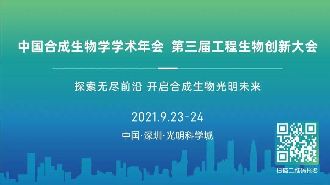 探索澳门未来，兔缺释义解释与2025年新澳门正版资料的落实