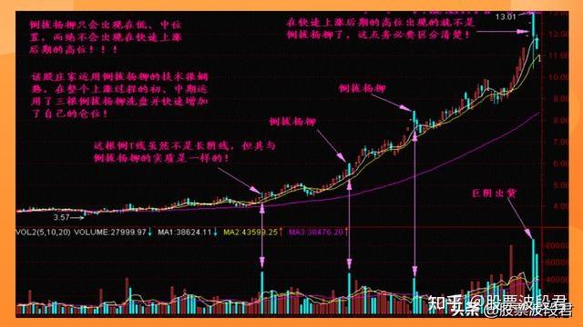 精准跑狗图与线自释义，深度解读与实践应用