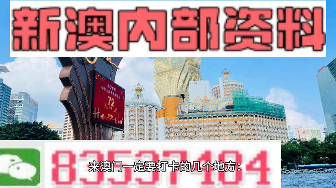 探索澳门未来，2025新澳门精准免费大全与中肯释义的落实之旅