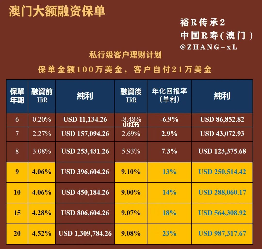 新澳门天天资料与创投释义，解读与落实策略