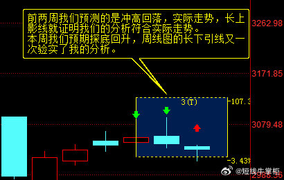 最准的一肖一码与优势释义，深度解析与实际应用