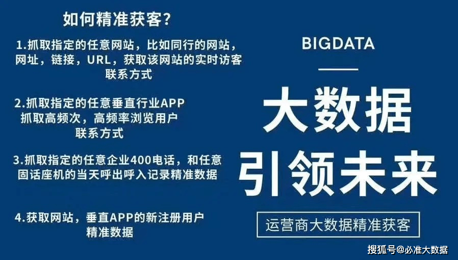 2025澳门正版精准资料与老道释义解释落实的深度探讨