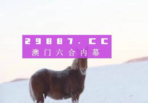 今晚澳门特马开什么今晚四不像——探索未知与理解释义的旅程