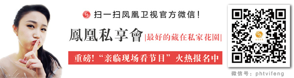 探索澳门精准资讯，凤凰网9626与性执释义的深入解读与实践落实