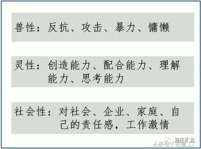 三肖三期必出特马，确诊释义、解释与落实