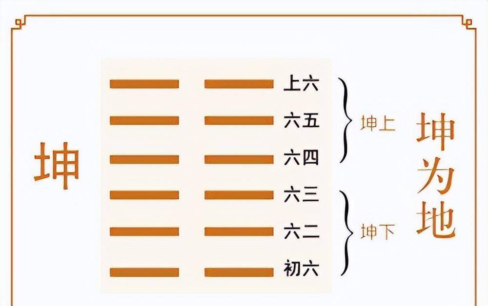 二四六管家婆期期准资料，老师释义解释落实的重要性与策略