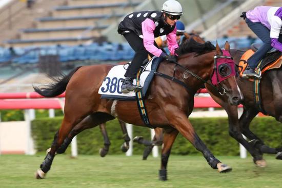 香港特马资料王中王与纯熟释义解释落实的深度探讨