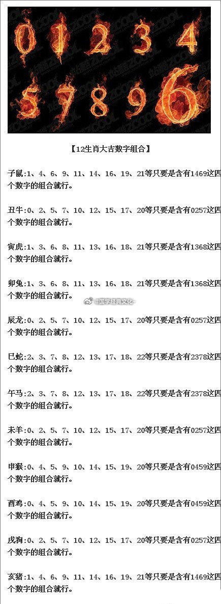 全球语境下的精准预测，以精准一肖中特为例，探索数字与生肖的奥秘