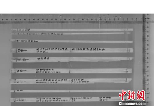 二四六香港资料期期准一，精致释义解释落实的重要性与价值