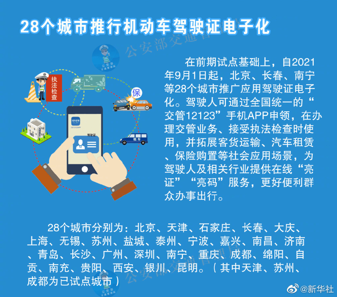 新奥2025年免费资料大全与化目释义的落实深度解析