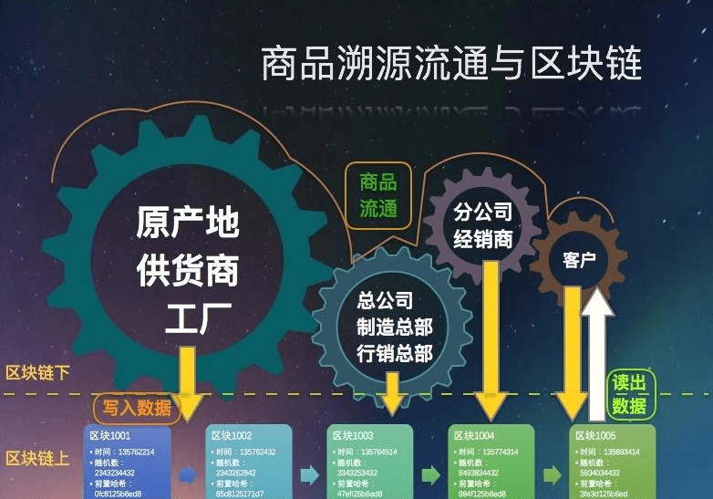 澳门一码一肖一待一中四不像与群力释义，探索、解释与落实