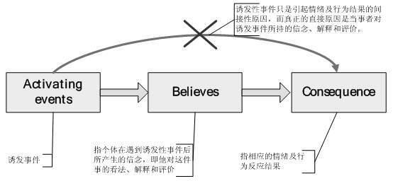 情境释义解释落实，数字背后的故事与追求——以王中王中特为例