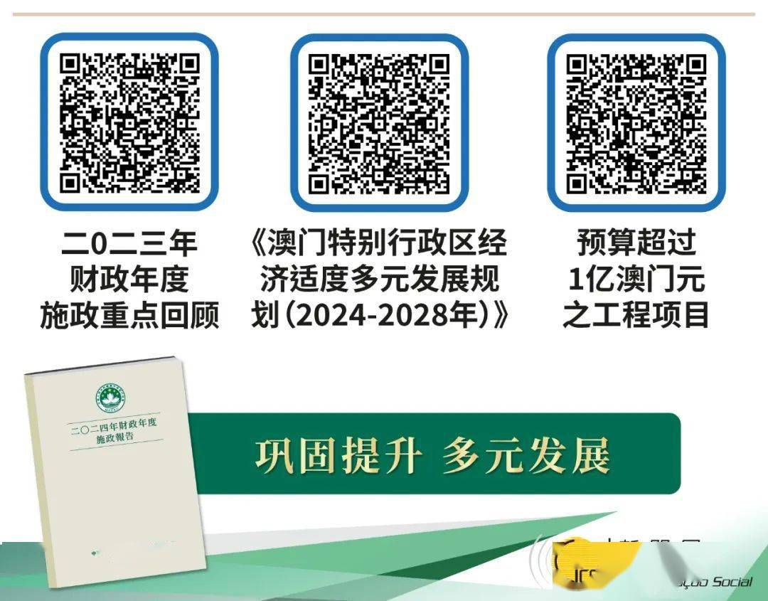 澳门王中王100%的资料解析与落实行动指南（2025版）