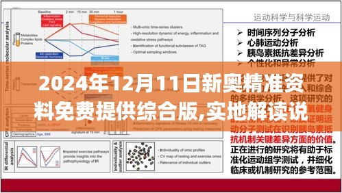 新澳2025年精准资料220期，工具释义解释落实的深入洞察