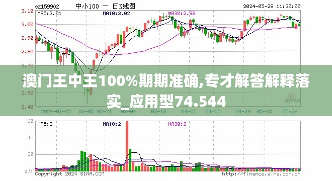 新澳门王中王期期中与外包释义解释落实的全面解读