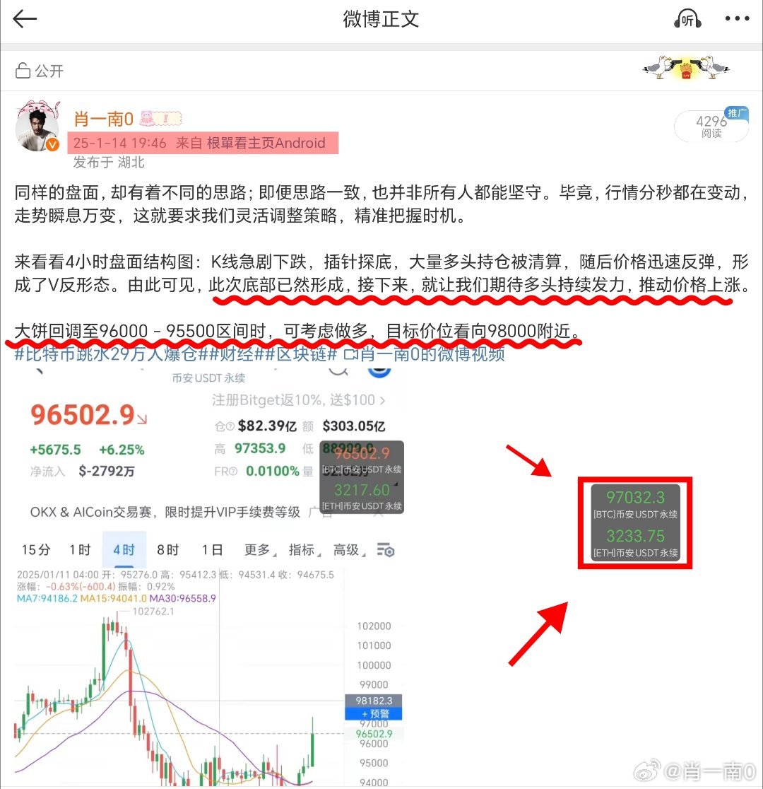 白小姐一肖一码，揭秘精准预测与控制的释义解释落实之道