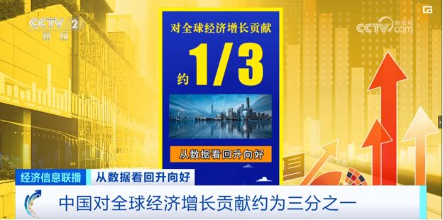 韧性释义与管家婆凤凰在数字时代的独特作用——以77777与88888为例