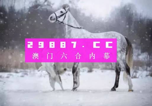 澳门一肖一码，揭秘背后的秘密与探索准确答案的旅程