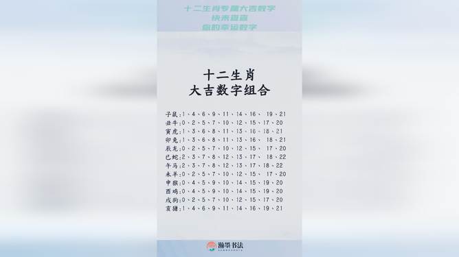 揭秘十二生肖与数字码，2025年的损益释义及落实展望