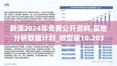 探索未来，解读新澳2025精准资料与落实策略