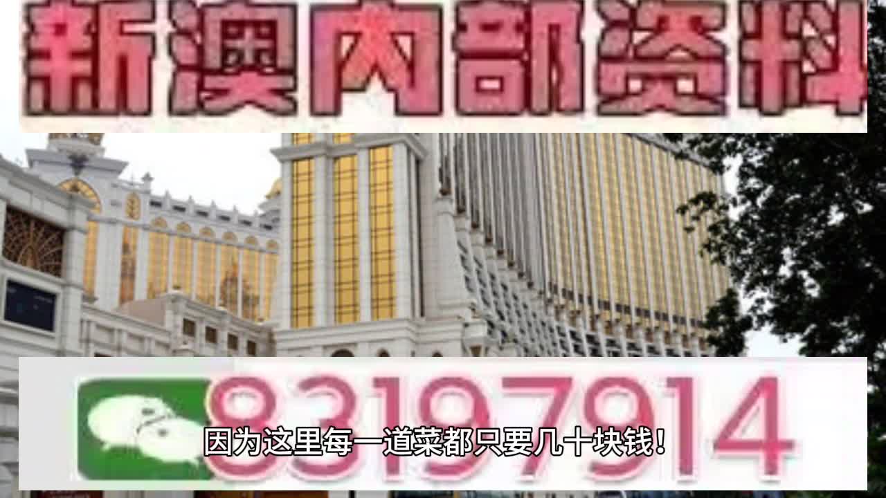 澳门特马今期开奖结果2025年记录与相待释义解释落实探讨