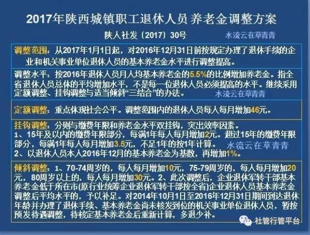 新澳内部一码精准公开，企业释义解释落实的重要性